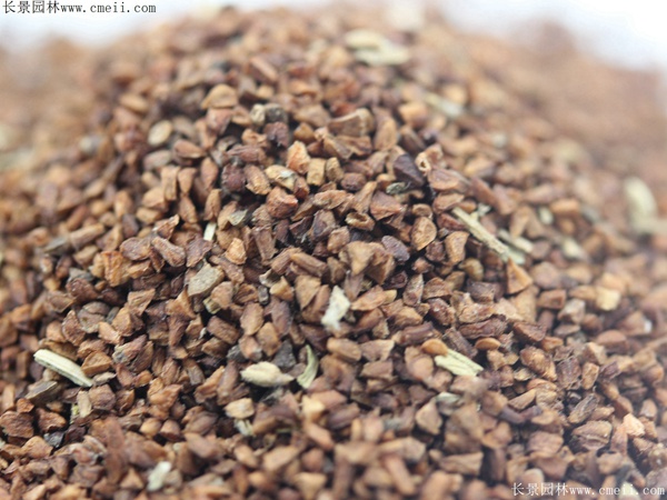 月見(jiàn)草種子 月見(jiàn)草種子