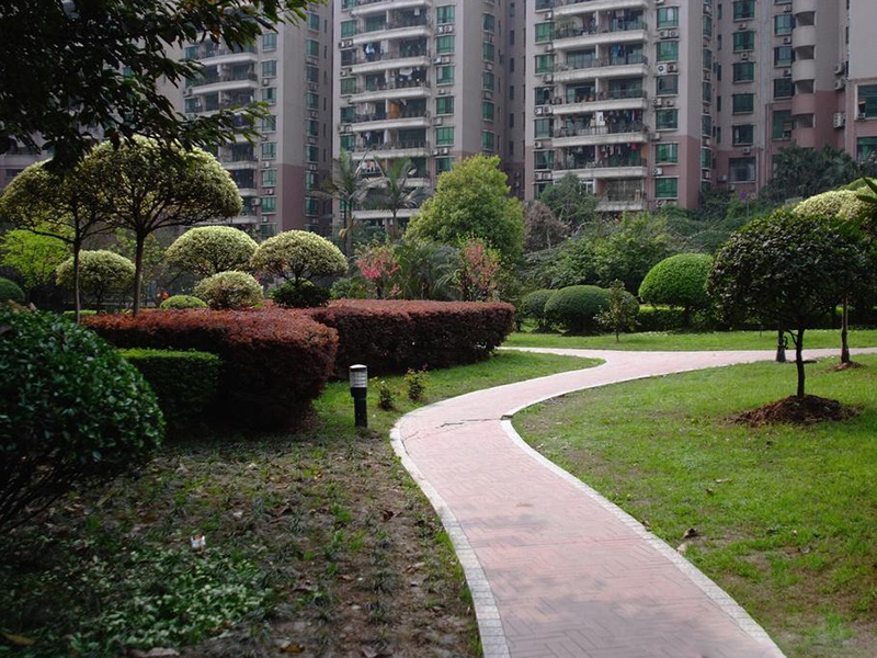 小區(qū)庭院住宅院子園林綠化苗木品種 小區(qū)庭院住宅院子園林綠化苗木品種